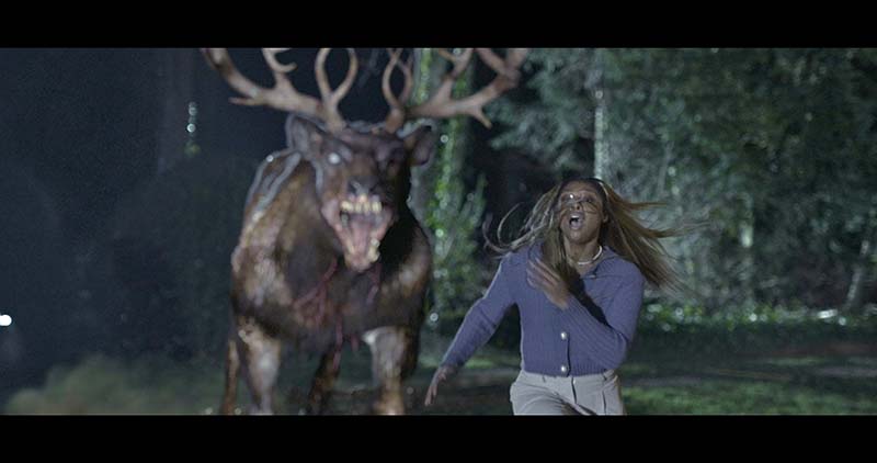 映画『子鹿のゾンビ』せんべいだけじゃ、生きていけない。悪い人間の仕業で行方知れずとなった最愛の子どもを探すバンビと子どもの愛の物語 シーン画像