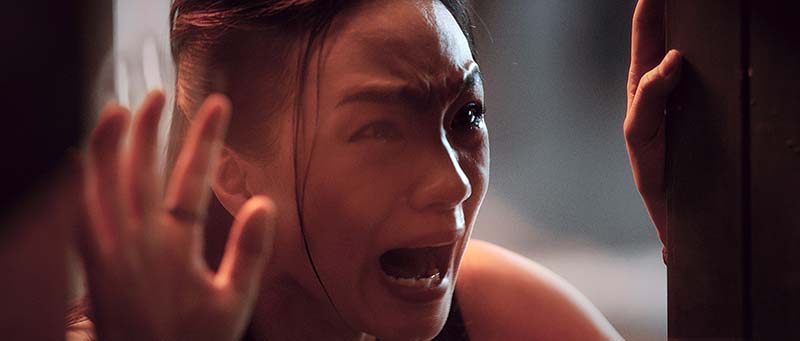 映画『ミューテーション　MUTATION』 生き残りを賭けた最期の戦いが始まる・・・ 戦慄のビジュアル・ショック＆どんでん返しのSFレディ・バトル・アクション！！！ シーン画像